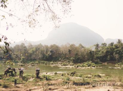 Laos: Elefantenreiten in der Morgensonne am Ufer des Nam Khan