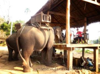 Laos: Elefantenreiten in der Morgensonne am Ufer des Nam Khan