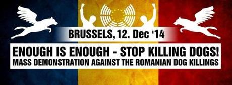 BRUSSELS - MASS DEMONSTRATION against the Romanian dog killings! 
