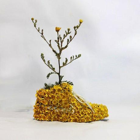 Just Grow It: Öko Sneaker Kunst von Monsieur Plant