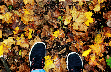 Autumn | Take A Walk With Me