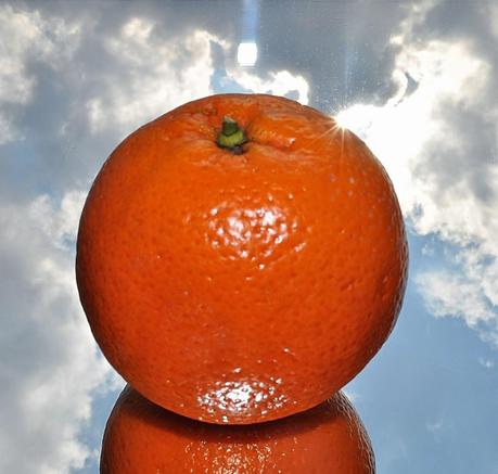 Kennst du das Land, wo die Orangen blühen?