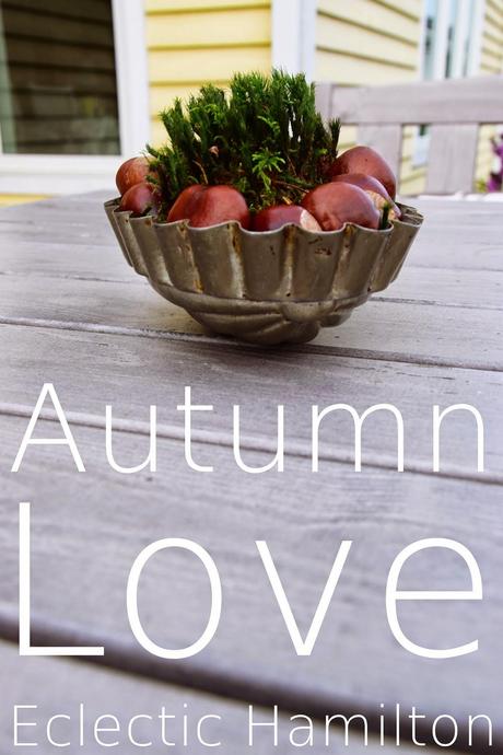3 Ideen für kleine Herbst-Welten  #Autumn Decoration Vol.1