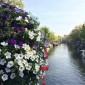 Quarkbrot und eine Ahnung von Amsterdam