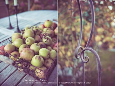 Herbstgarten und Apfelernte