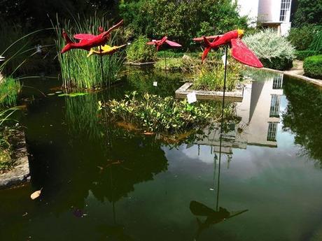 07_Fliegende-Fische-Teich-Botanischer-Garten-Lissabon-Portugal