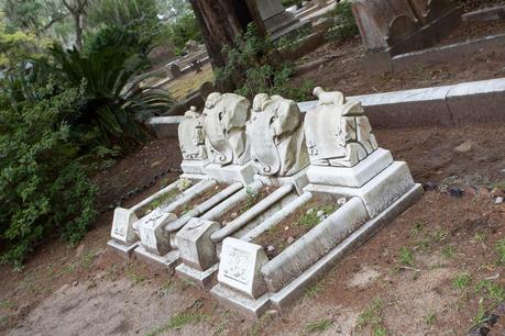 Friedhofsserie: Bonaventure Cemetery, Savannah