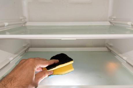 Kuriose Feiertage - 15. November - Putz-Deinen-Kühlschrank-Tag – der amerikanische Clean Out Your Refrigerator Day - 3 (c) 2014 Sven Giese