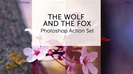The Wolf And The Fox Photoshop Action Set