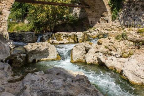 Pfeiffers - Wasserfall Trans-en-Provence 2