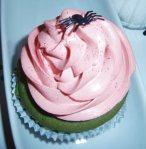 Cupcake - Spinne
