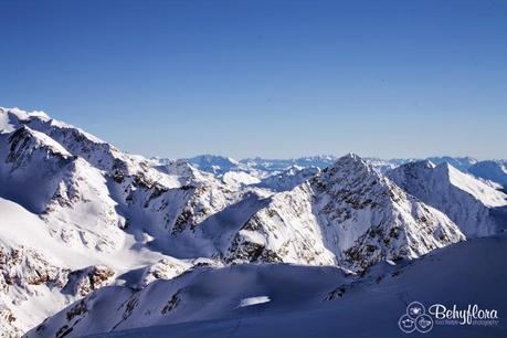 Winterausflug in den Schnee