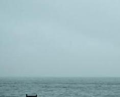 wallpaper-1689754