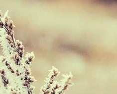 wallpaper-1689754