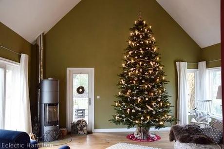 4 Meter Licht und Glanz - mein Weihnachtsbaum!