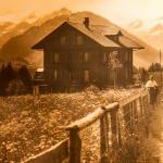 Historisches Foto der Alpenrose