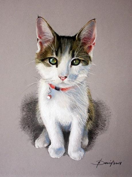Katze Sitzend, Pastell / Papier 