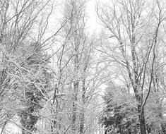 wallpaper-1689754