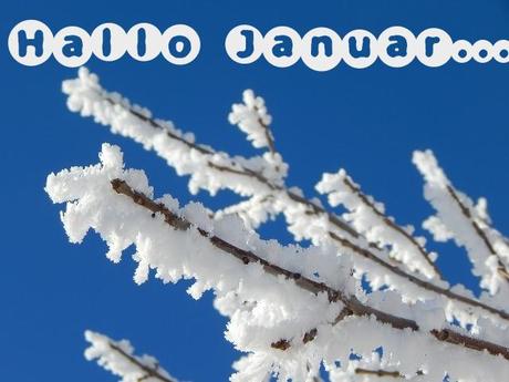 Im Januar freuen wir uns auf… Quelle: Pixabay
