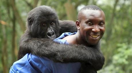 VIRUNGA - 'You have to be the change, you want to see in the world'