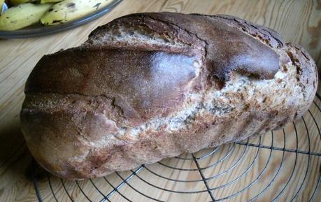 Di-Ro-Brot II - im Kasten und im Glas Di-Ro-Brot II - im Kasten und im Glas