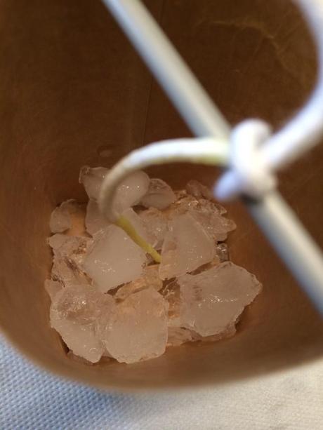 Januarloch: Kerzen-Upcycling mit Eis