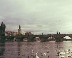 wallpaper-1689754