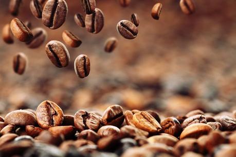 Wie wird Kaffee richtig aufbewahrt?
