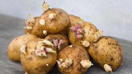 Wie viel Grollkartoffeln trägst Du mit Dir herum?