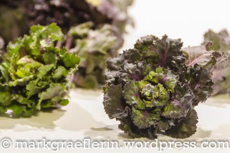 Flower Sprouts 1