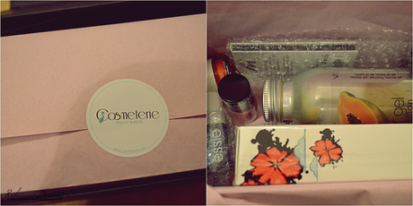 Cosmeterie | Luxus Beauty Box | Januar 2015