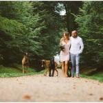 Brautpaarbilder mit vier Hunden in Ludwigslust
