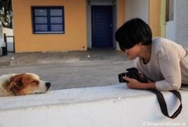 Fotoshooting mit Hund