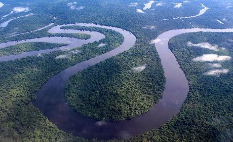 Der Amazonas bahnt sich seinen Weg durch den Dschungel ©visita peru