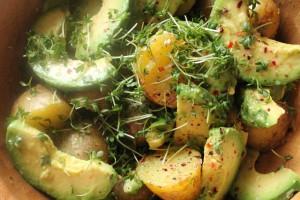 veganer Kartoffel-Avocado-Salat