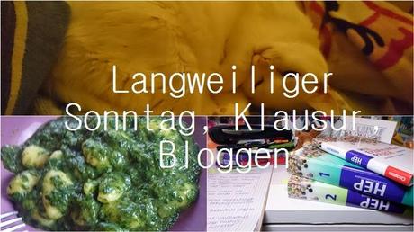 Langweiliger Sonntag, Klausur, Bloggen #cidooogoesvlogging -Video ♥