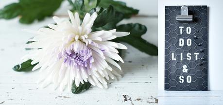 Flower Day |  Knallgrün & Weiß mit Stich