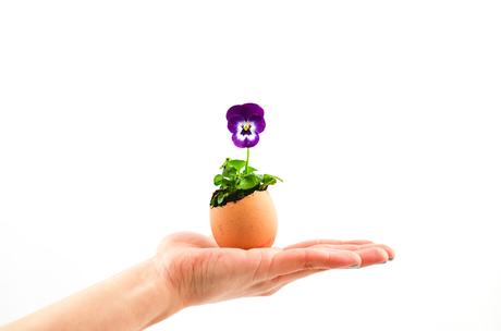 DIY Blume im Ei