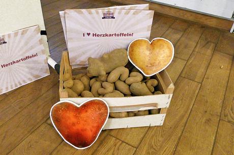 Die Kartoffel als Star bei der großen Kartoffelshow (mit 7 Tipps zum Essen-retten)