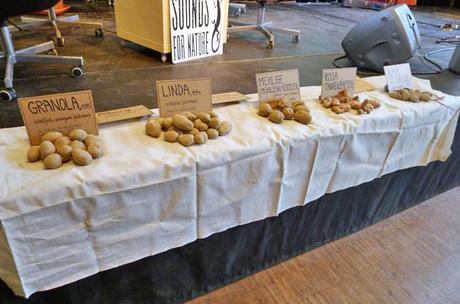 Die Kartoffel als Star bei der großen Kartoffelshow (mit 7 Tipps zum Essen-retten)