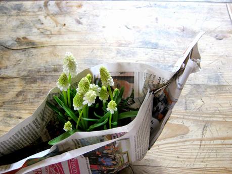 crafting friday - Tulpen und Traubenhyazinthen