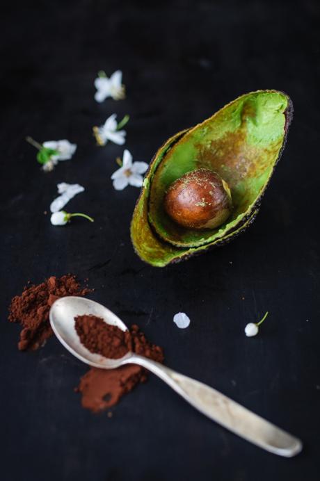 vegan törtchen tarte raw dattel kokosnuss avocado schokolade creme trickytine ihana (25)