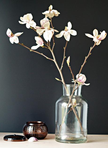 aufgeblühter Magnolienzweig in einer Vase, mit Deko