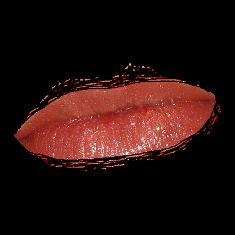 p2 Lost in Paradise Lipgloss | Beauty goes Safari LE p2 Lost in Paradise Lipgloss | Beauty goes Safari LE