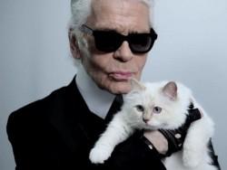 Wir stellen vor: die reichste Katze der Welt - Karl Lagerfelds Katze Choupette
