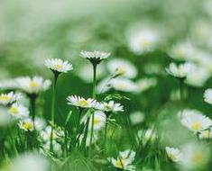 wallpaper-1689754