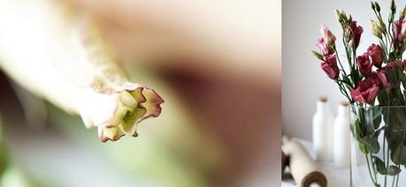 Collage einer Blütenknospe und beerenfarbenen Schnittblumen { by it's me! }