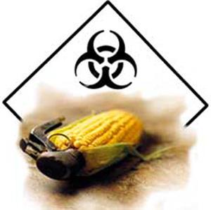 Monsanto - ein internationaler Krimineller