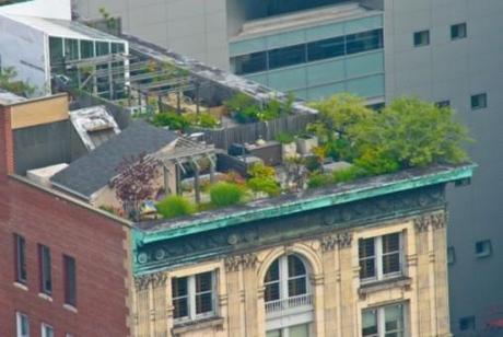 Nyc-rooftops-4-600x403-508x341 in Grüne Luxus Oasen über den Dächern von NY