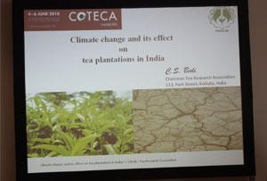 Zum Thema Klimawandel und Einflüsse auf Teeanbau sprach C.S. Bedi auf dem Tee-Kongress